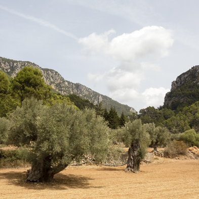 Mallorca 2014
