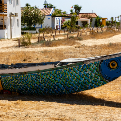 Algarve 2025